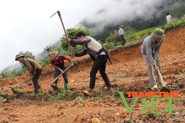 Mường Tè: Đảm bảo nguồn nước phục vụ sản xuất   - Ảnh 5.