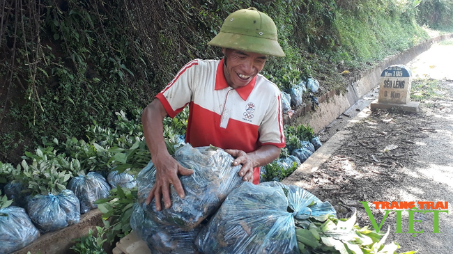 Sìn Hồ phát triển sản xuất nông nghiệp theo hướng hàng hóa - Ảnh 2.