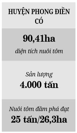 Nuôi tôm “công nghệ cao” thu về tiền tỷ - Ảnh 3.