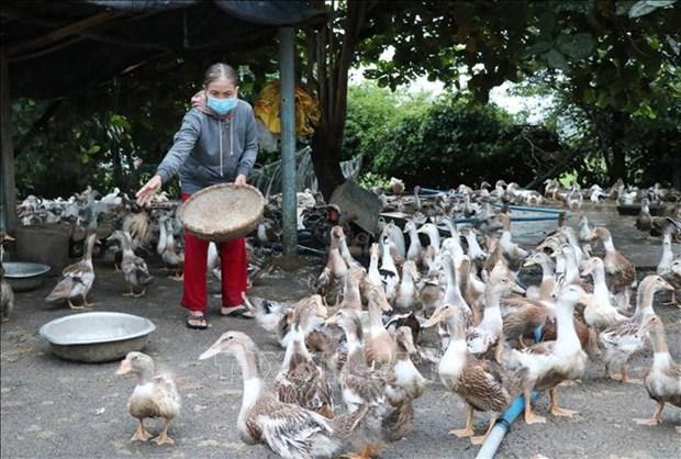 Ky vong mo huong di moi cho vung nong thon Phu Yen hinh anh 1