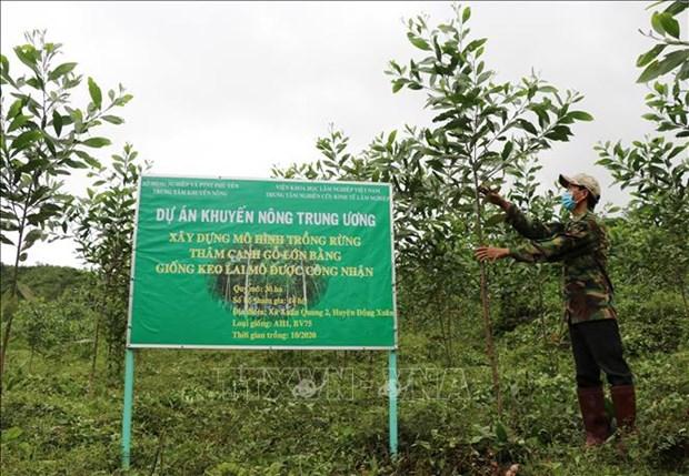 Ky vong mo huong di moi cho vung nong thon Phu Yen hinh anh 2