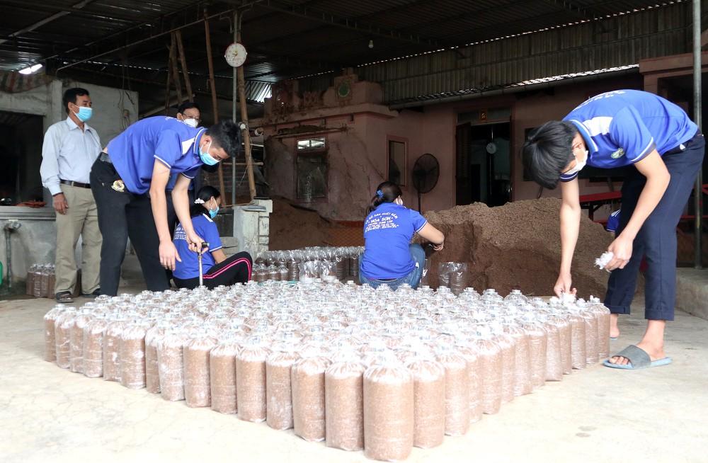 Nông dân Anh Sơn trồng nấm sạch