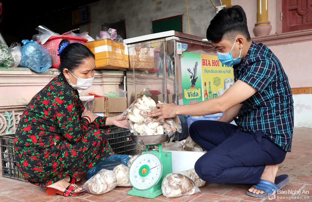 Nông dân Anh Sơn trồng nấm sạch