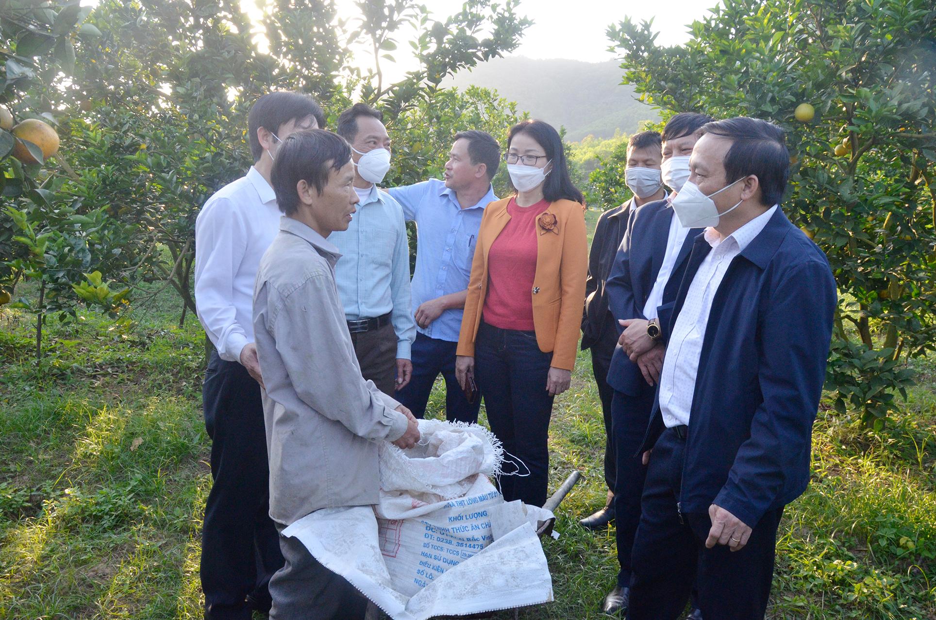 Hội Nông dân Việt Nam khảo sát các mô hình sản xuất nông nghiệp ứng dụng công nghệ cao