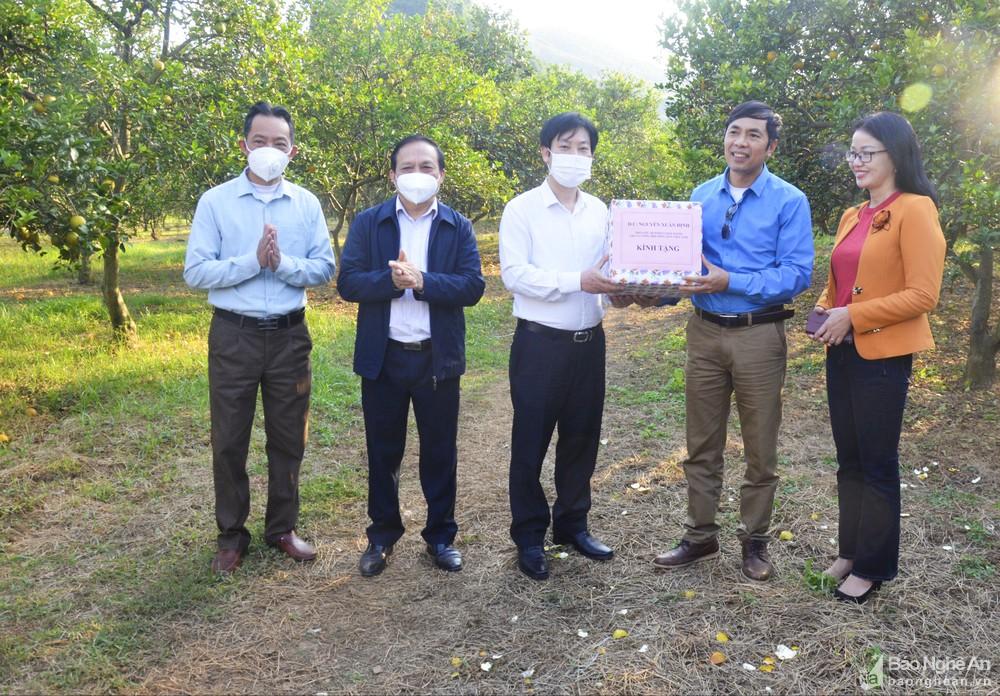 Hội Nông dân Việt Nam khảo sát các mô hình sản xuất nông nghiệp ứng dụng công nghệ cao