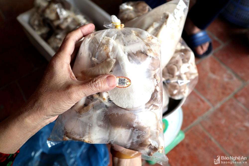 Nông dân Anh Sơn trồng nấm sạch