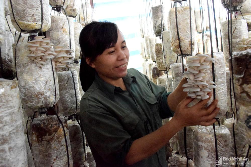 Triển vọng từ sản phẩm OCOP mới ở huyện Tân Kỳ