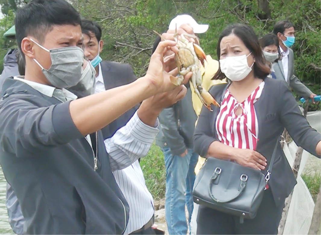 Đầu tư cho khuyến nông