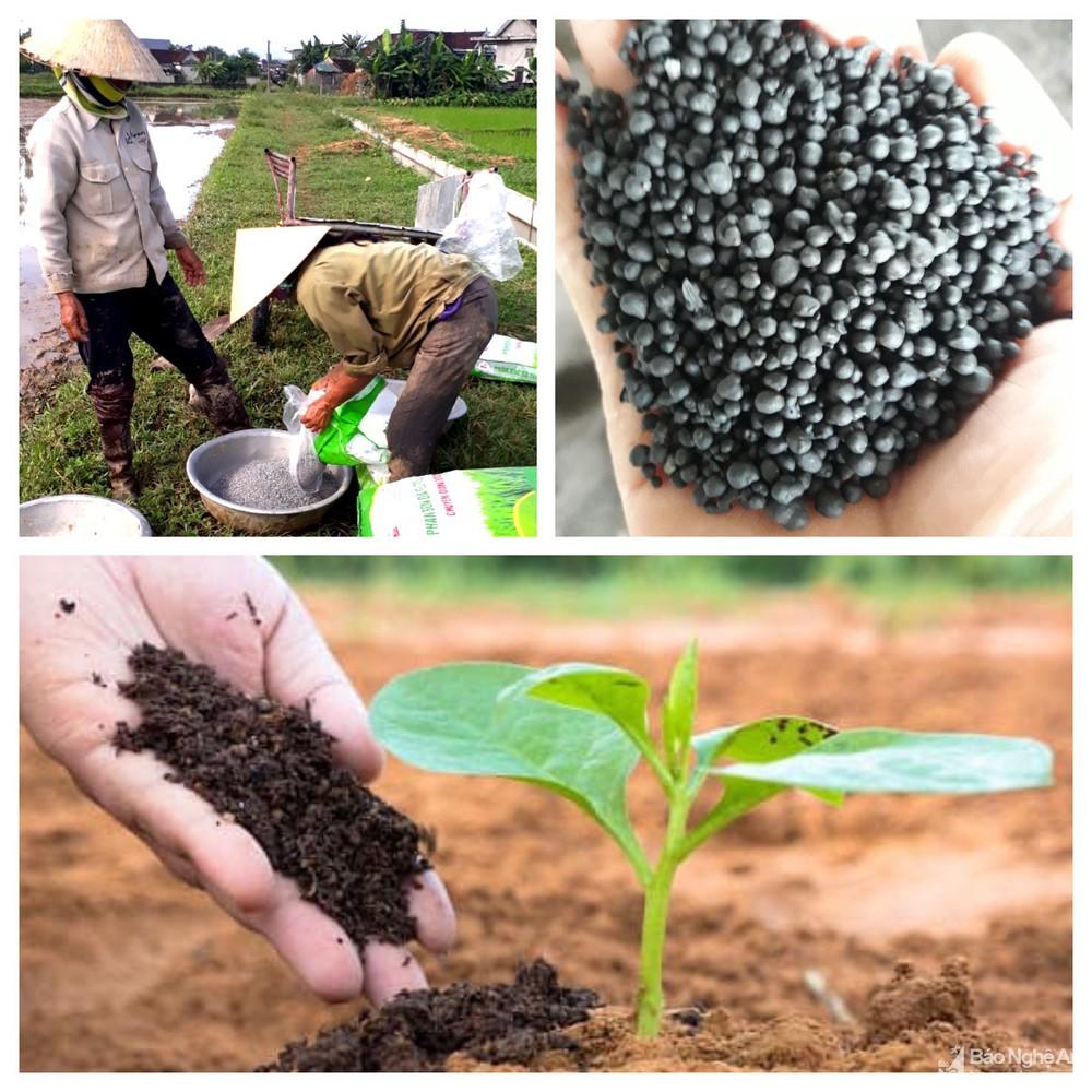Nông dân tăng cường sử dụng phân hữu cơ, giảm chi phí đầu vào cho vụ xuân