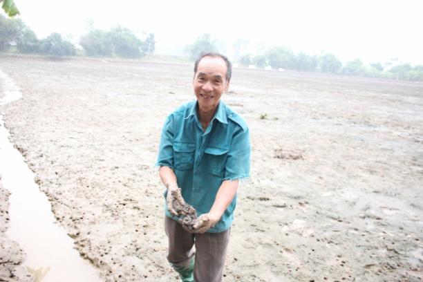 UBND huyện Tứ Kỳ, đã phê duyệt đề án mở rộng vùng sản xuất lúa khai thác rươi, cáy thêm 214 ha. Ảnh: Trung Quân.