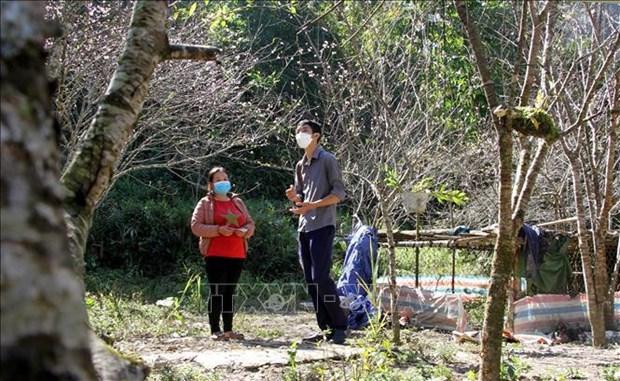 Dao no som, nguoi dan vung cao Ky Son lo that thu dip Tet hinh anh 3