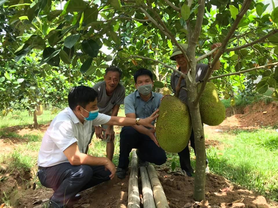 'Rủ nhau' làm vườn chuẩn xây dựng nông thôn mới ở Tân Kỳ