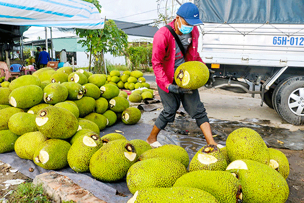 Khai thác tốt thị trường nội địa, gỡ khó “đầu ra” nông sản 