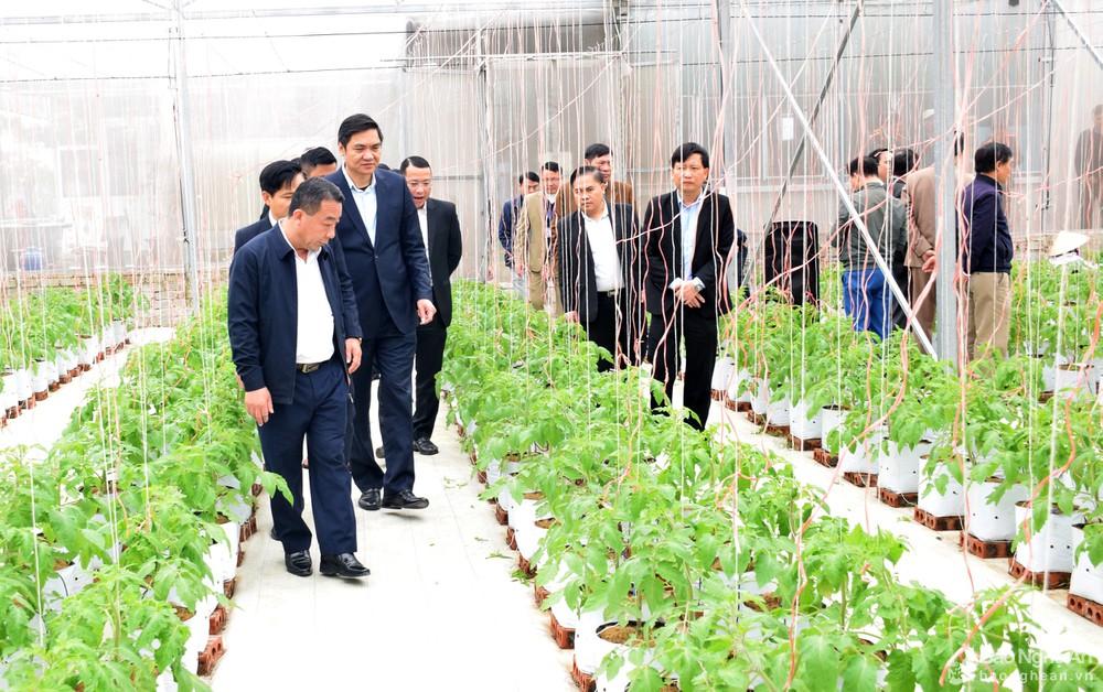 Nghệ An: Ưu tiên phát triển hợp tác xã kiểu mới trong lĩnh vực nông nghiệp