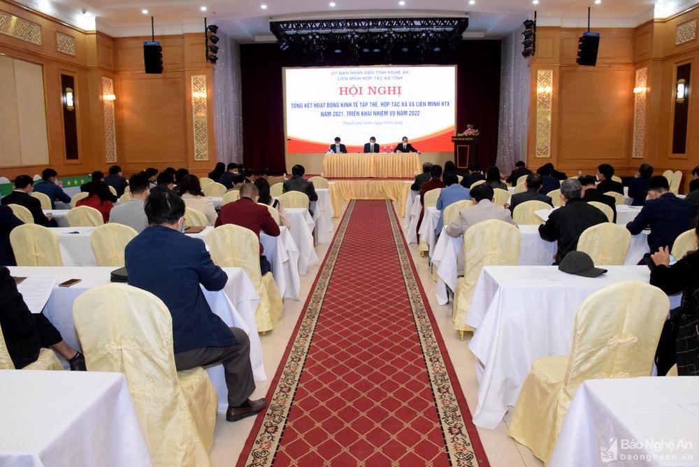 Nghệ An: Ưu tiên phát triển hợp tác xã kiểu mới trong lĩnh vực nông nghiệp