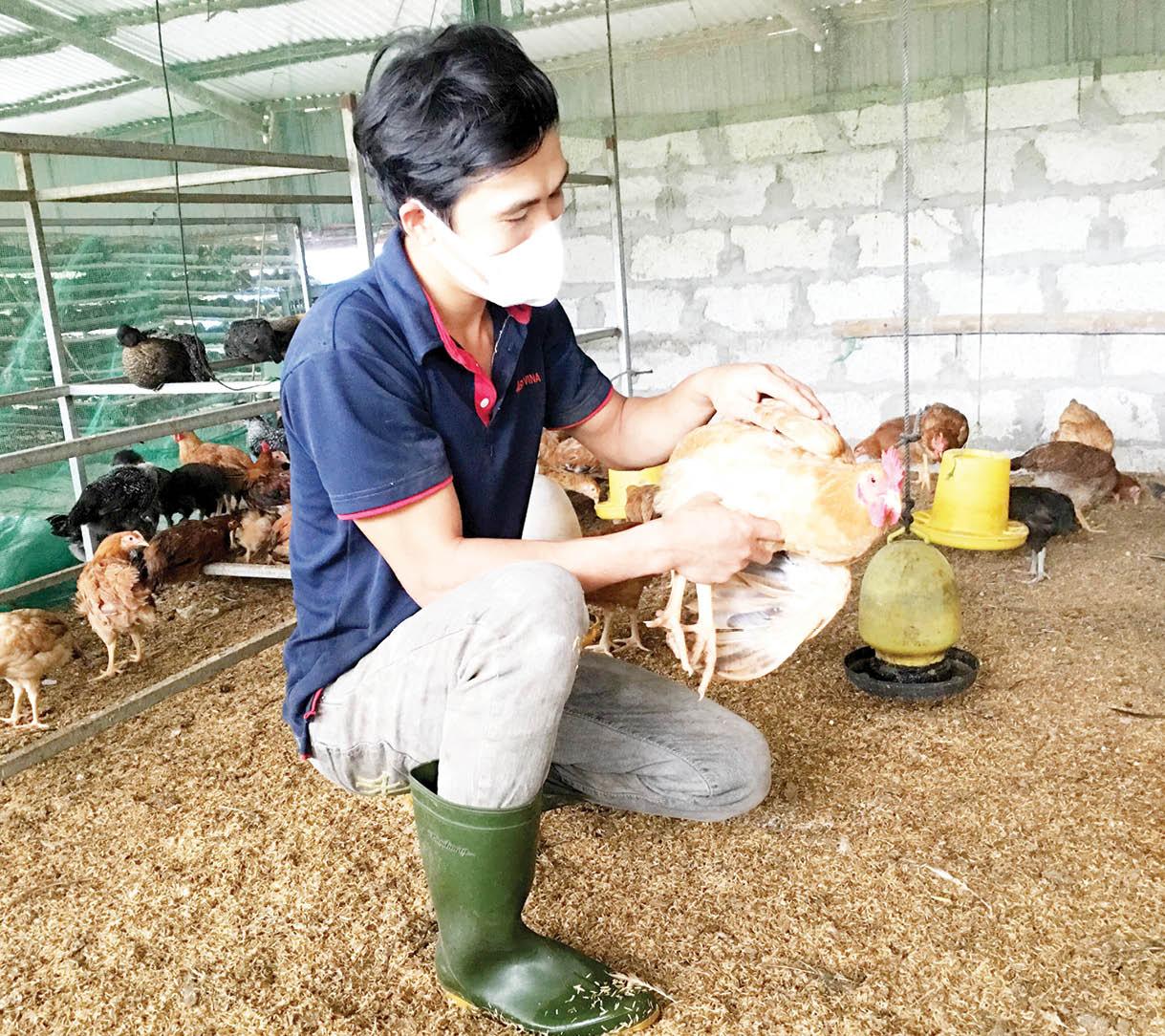 Mô hình VAC của anh Dảnh