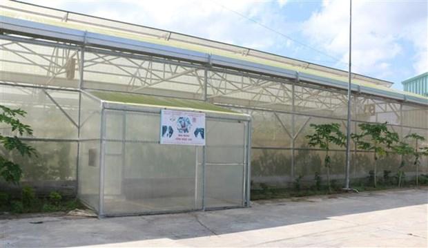 Nông dân Bạc Liêu chuyển đổi sản xuất gắn với ứng dụng công nghệ cao hình ảnh 4 Nong dan Bac Lieu chuyen doi san xuat gan voi ung dung cong nghe cao hinh anh 4