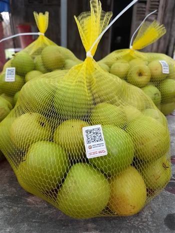 Nông dân Bạc Liêu chuyển đổi sản xuất gắn với ứng dụng công nghệ cao hình ảnh 5 Nong dan Bac Lieu chuyen doi san xuat gan voi ung dung cong nghe cao hinh anh 5