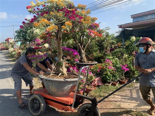 Sắc xuân nơi vương quốc hoa giấy Phú Sơn hình ảnh 1 Sac xuan noi vuong quoc hoa giay Phu Son hinh anh 1