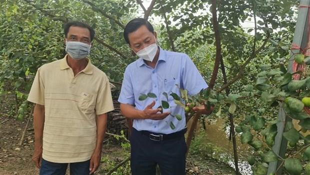 Nông dân Bạc Liêu chuyển đổi sản xuất gắn với ứng dụng công nghệ cao hình ảnh 2 Nong dan Bac Lieu chuyen doi san xuat gan voi ung dung cong nghe cao hinh anh 2