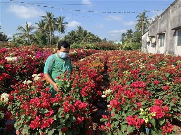 Sắc xuân nơi vương quốc hoa giấy Phú Sơn hình ảnh 3 Sac xuan noi vuong quoc hoa giay Phu Son hinh anh 3