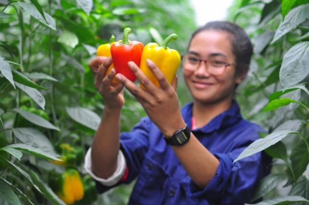 'Cần thu hút những sinh viên được đào tạo bài bản, có tâm huyết với nghề nông trở về nông thôn khởi nghiệp bằng các cơ chế ưu đãi', PGS.TS Đoàn Minh Huấn.