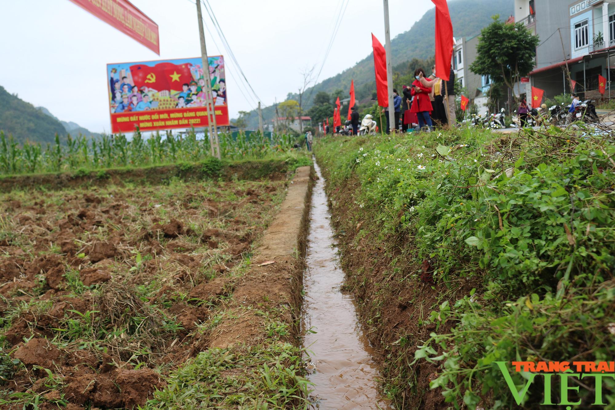 Nông thôn Tây Bắc: Thuận Châu phát động toàn dân ra quân làm thủy lợi mùa khô năm 2022 - Ảnh 4.