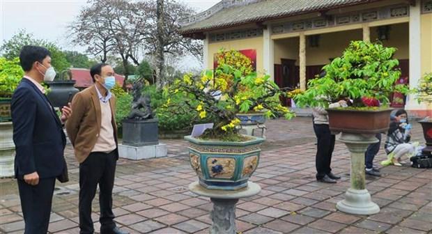 Nang tam thuong hieu Mai vang Hue hinh anh 3