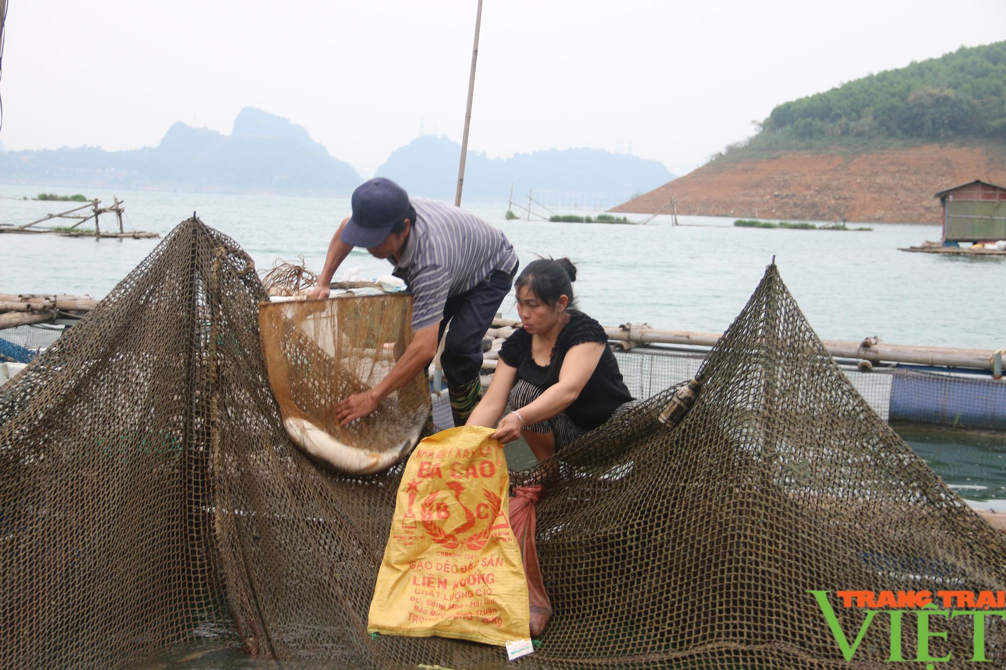 Hội Nông dân Hoà Bình: Hỗ trợ hội viên vay vốn phát triển sản xuất và làm giàu  - Ảnh 4.