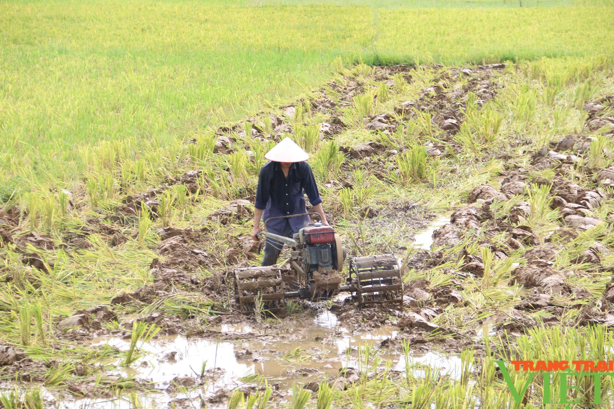 Hội Nông dân Hoà Bình: Xây dựng Hội vững mạnh, tạo chỗ dựa vững chắc cho hội viên - Ảnh 3.