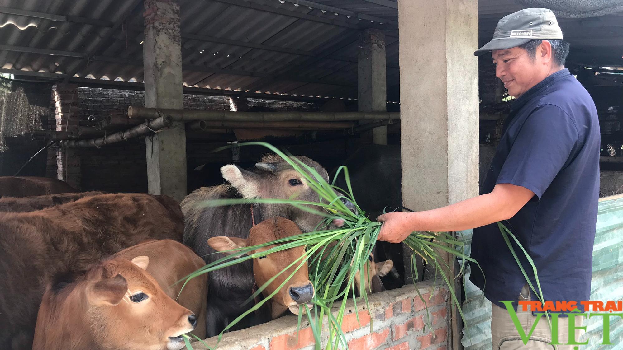 Nông thôn Tây Bắc: Phát triển chăn nuôi ở xã vùng cao - Ảnh 2.