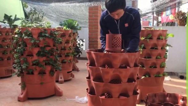 Tháp rau hữu cơ Eco cao gần ngang ngực người lớn.