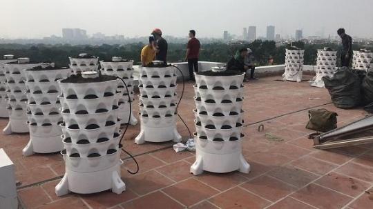 Mô hình tháp rau hữu cơ trên nóc một tòa nhà chung cư.