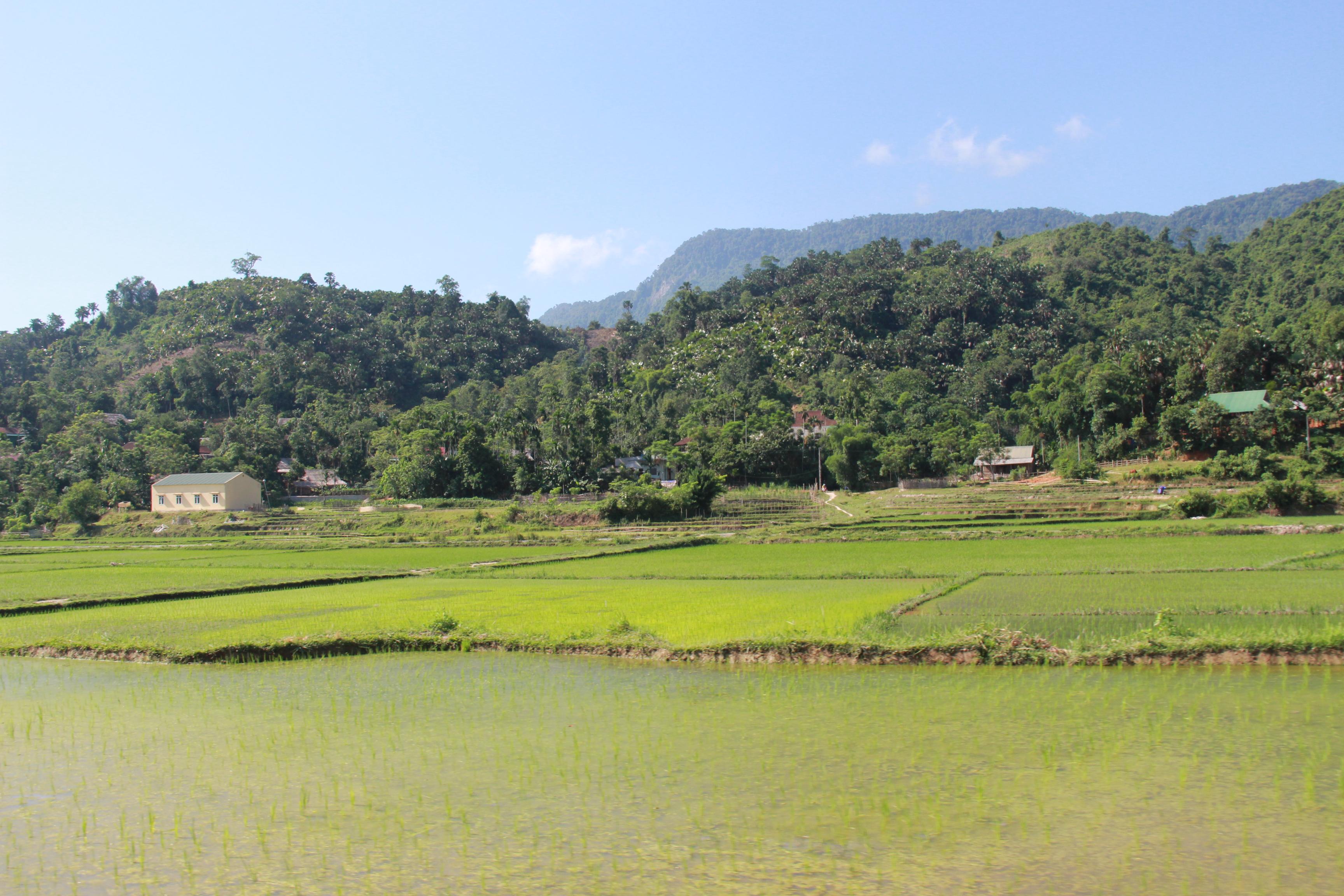 Thương hiệu cho đặc sản Quế Phong