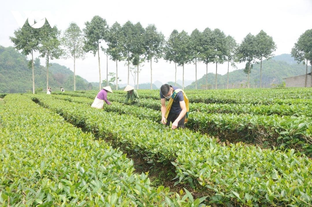 Giá phân bón và vật tư nông nghiệp tăng cao, nhưng giá sản phẩm nông nghiệp không tăng.