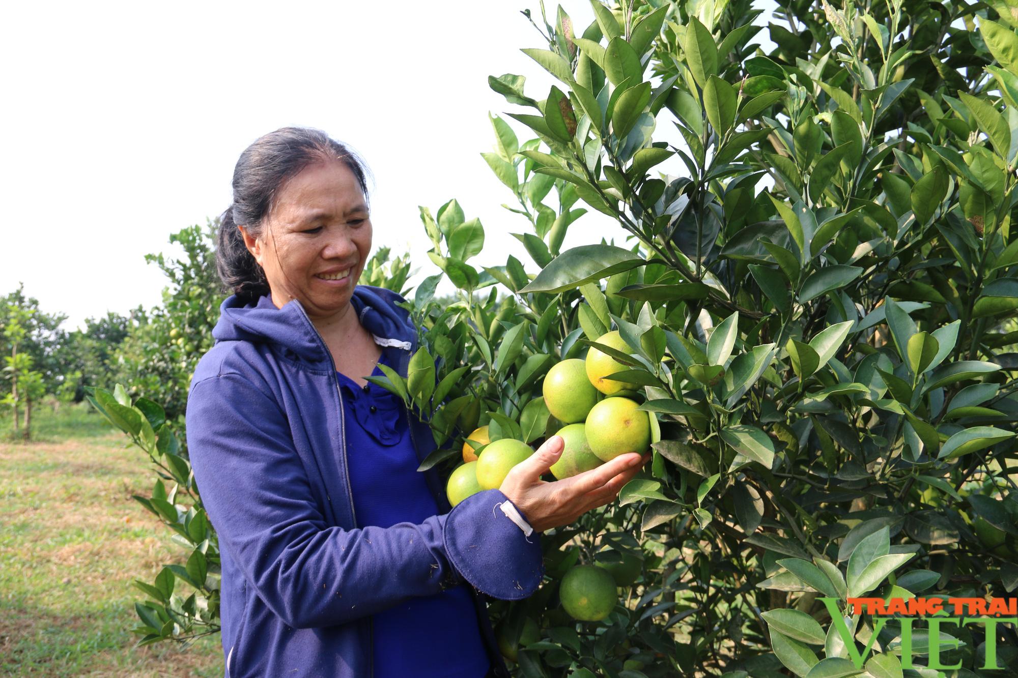 Huyện Cao Phong: Phát triển du lịch gắn với nông nghiệp chất lượng cao - Ảnh 4.