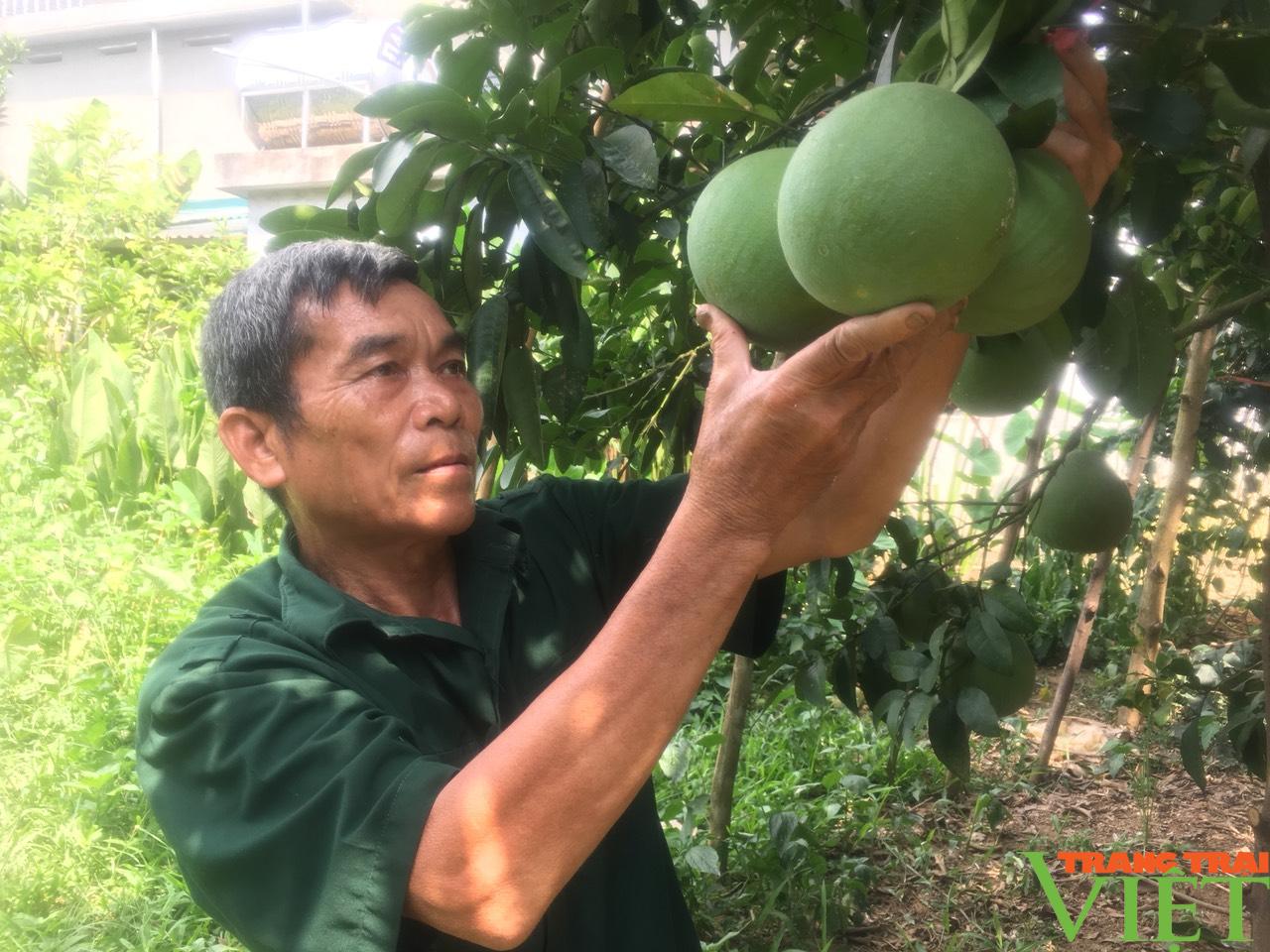 Hội Nông dân Hoà Bình cầm việc chỉ tay, giúp hội viên thoát nghèo  - Ảnh 1.