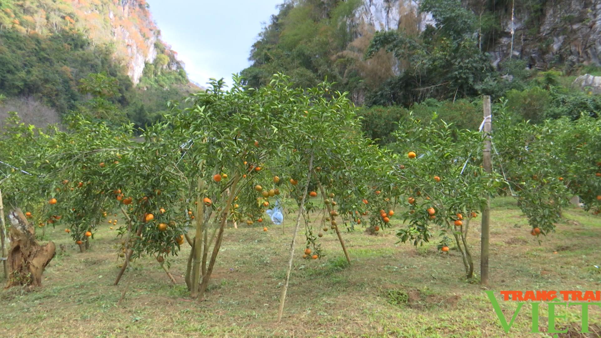 Chiềng Cọ: Đa dạng các mô hình phát triển kinh tế - Ảnh 3.