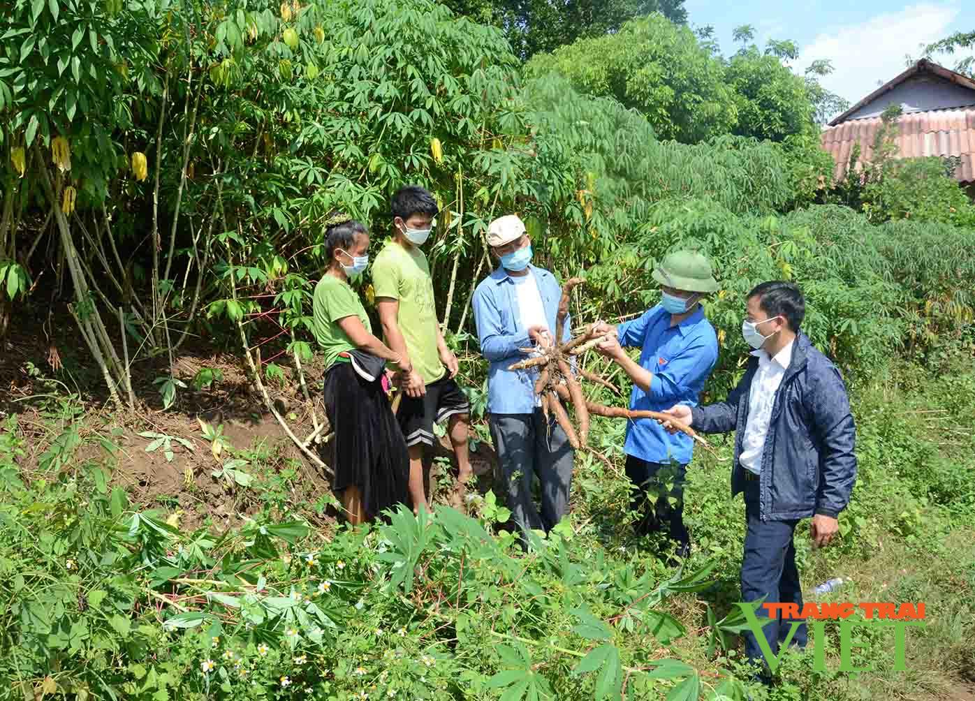 Sìn Hồ nỗ lực đảm bảo an sinh xã hội - Ảnh 1.