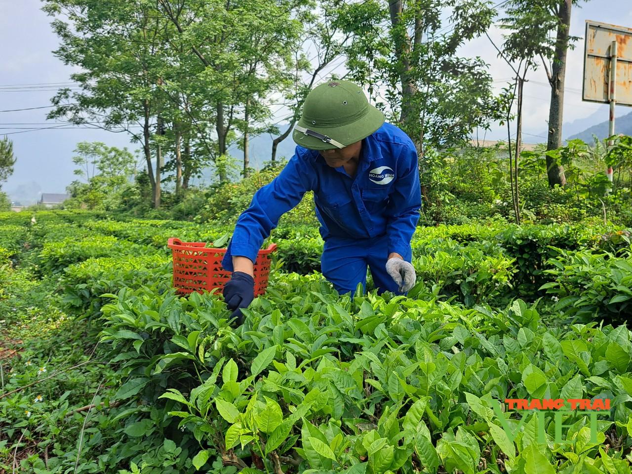 Hội Nông dân - Bưu điện Tân Uyên: Ký kết hợp tác hỗ trợ nông dân chuyển đổi số - Ảnh 2.