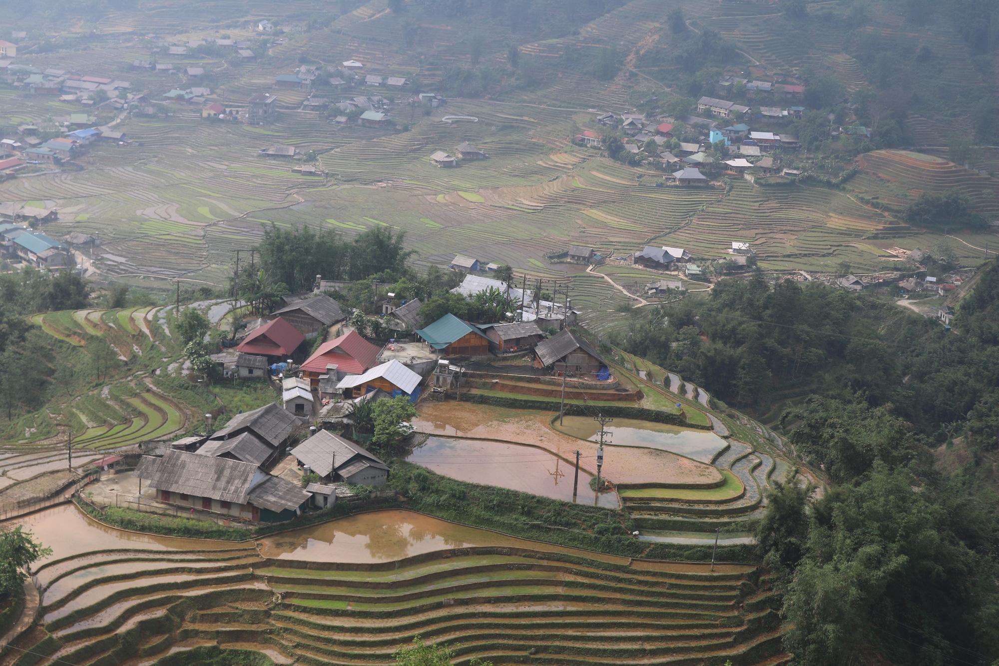 Nông dân Sa Pa chuẩn bị gieo cấy lúa mùa - Ảnh 5.