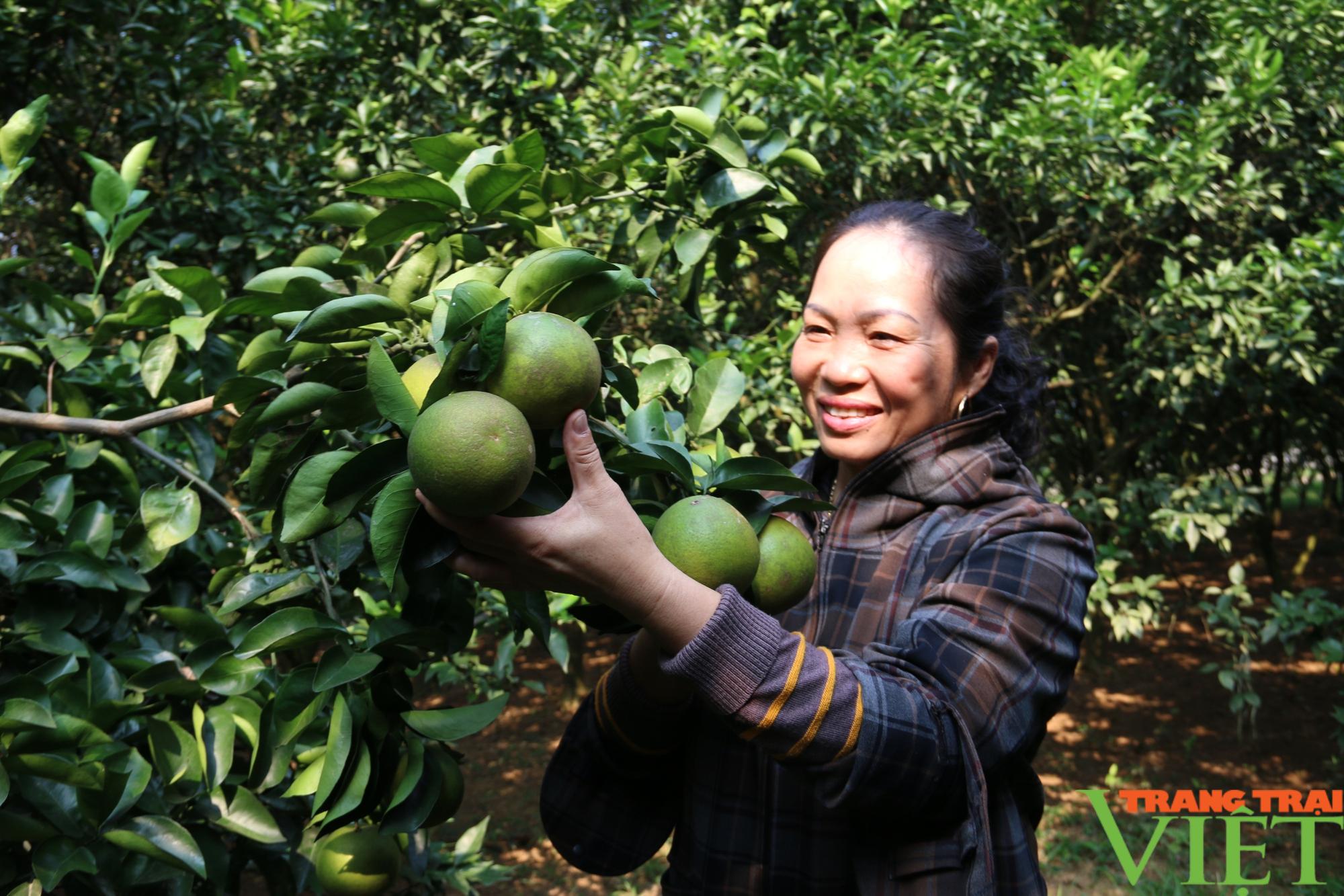 Nông dân Cao Phong có của ăn, của để từ cây ăn quả - Ảnh 5.