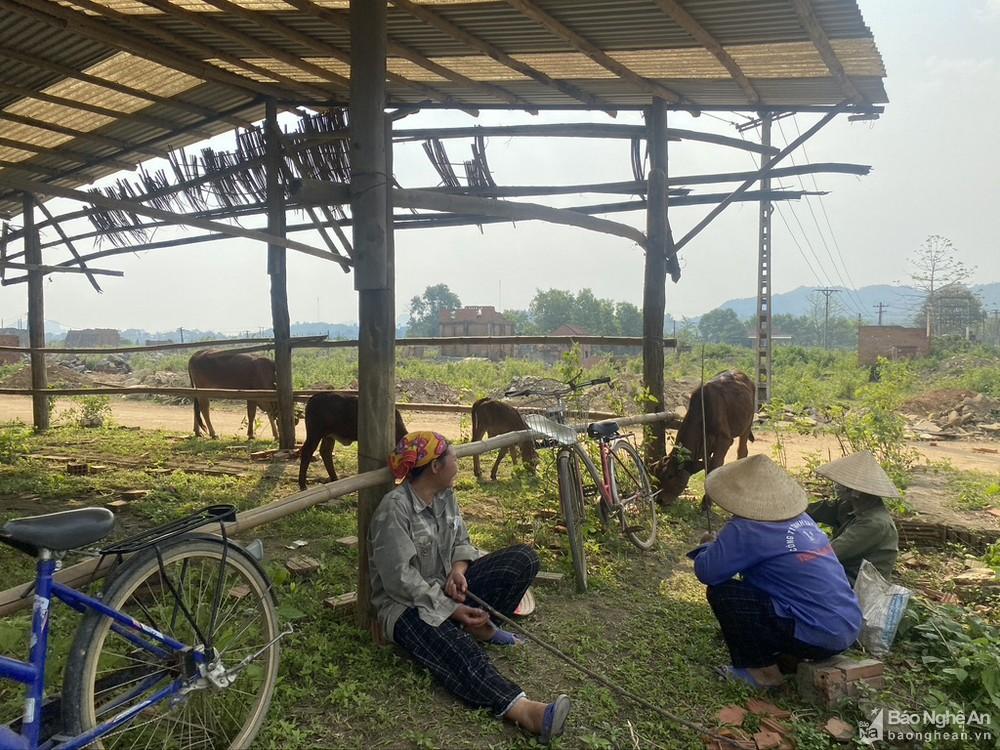 Cần sớm có giải pháp tháo dỡ lò gạch bỏ hoang ở Tân Kỳ