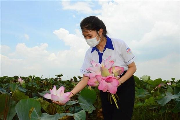 Nguyen Thi Dieu Hien - Nu sinh Dong Thap lam son moi tu hoa sen hinh anh 1