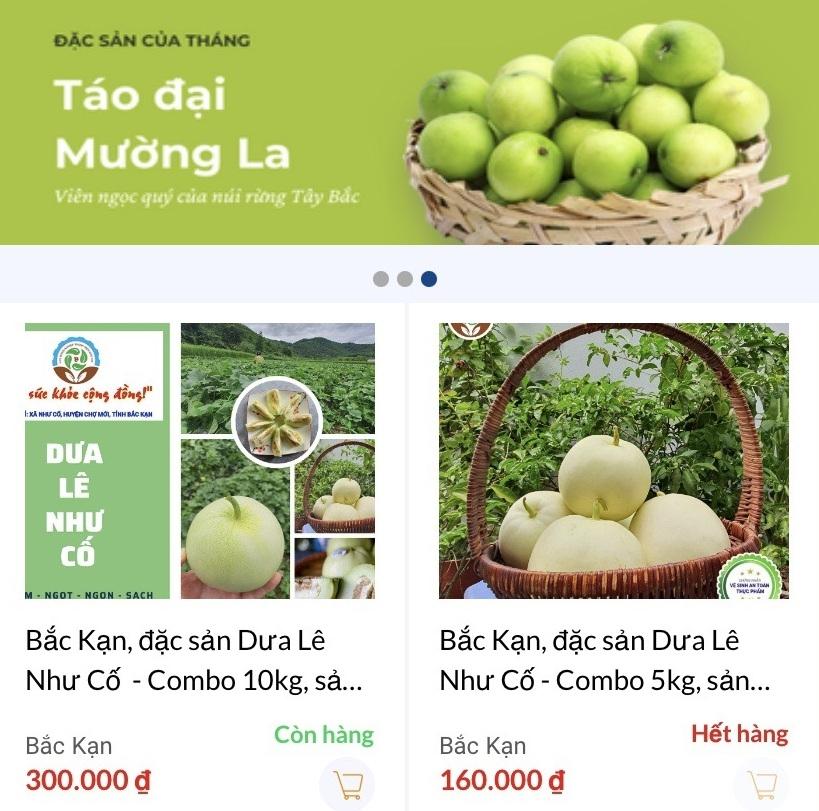 Bắc Kạn đẩy mạnh ứng dụng thương mại điện tử trong tiêu thụ các sản phẩm OCOP