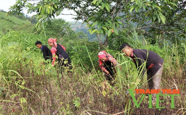 Mường Tè: Đồng lòng giúp đồng bào La Hủ xoá đói, giảm nghèo   - Ảnh 1.