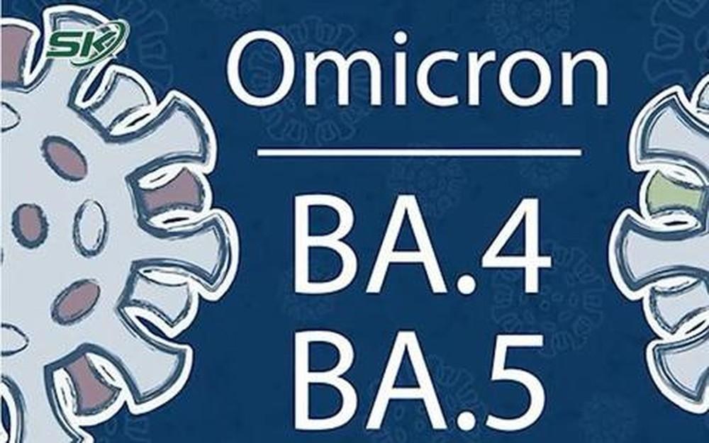 Ca Covid-19 tăng, biến thể phụ nào của Omicron đang chiếm ưu thế trong cộng đồng ở nước ta? ảnh 1