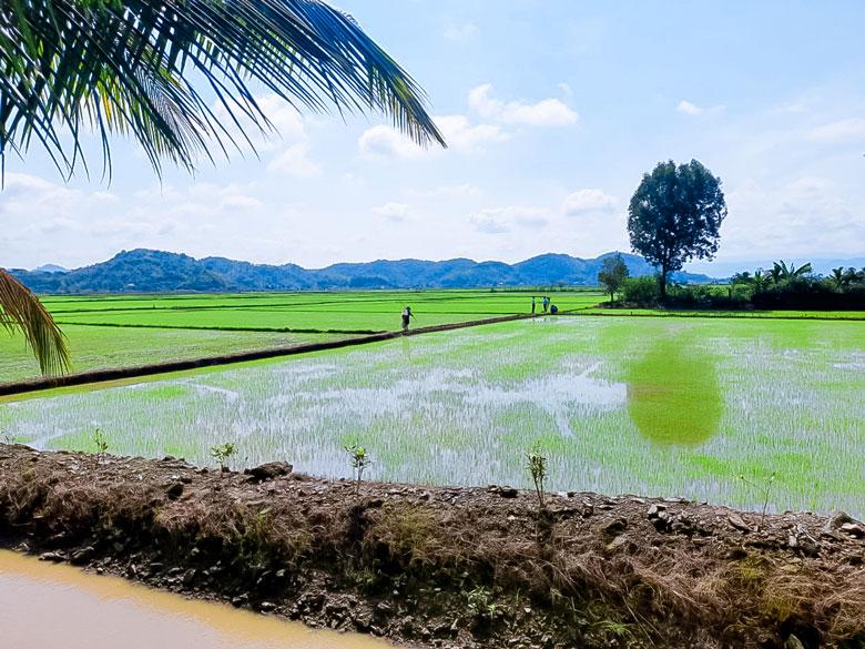 Xã An Nhơn tiếp tục ứng dụng sản xuất nông nghiệp công nghệ cao gắn với xây dựng môi trường cảnh quan nông thôn sáng, xanh, sạch, đẹp