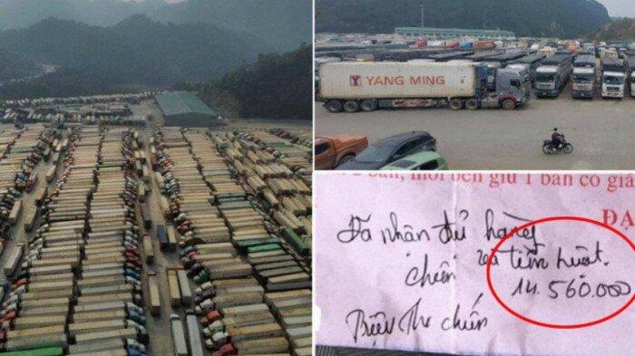 Có gì trong "Cẩm nang hướng dẫn xuất khẩu rau quả chính ngạch sang thị trường Trung Quốc"  - Ảnh 1.