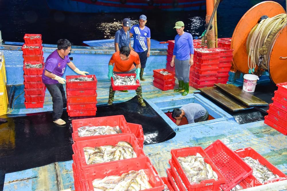 Lãnh đạo Hội Nông dân tỉnh thăm, tặng quà ngư dân Cửa Lò ảnh 1